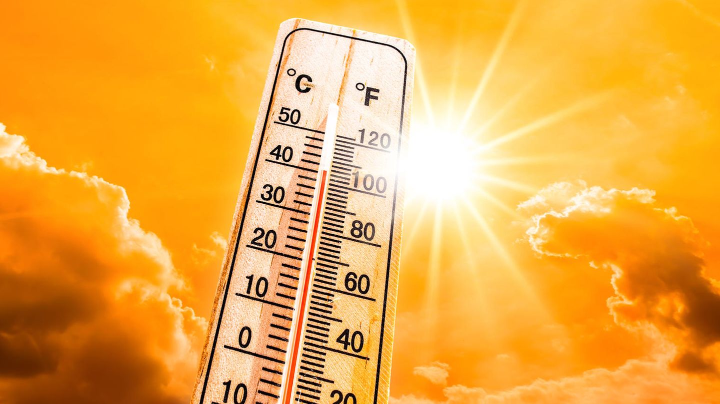 Der Klimawandel führt auch in Deutschland zu mehr Trockenheit und Hitze
