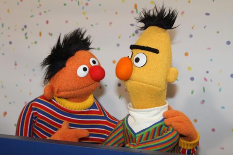 Ernie und Bert aus der "Sesamtraße"