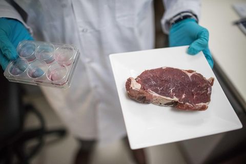 Laborsteak der israelischen Firma Aleph Frams