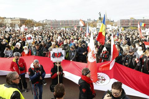 Wie Viren die Welt verändern: Die Geschichte der Pandemien: Es ist vor allem eine Geschichte der menschlichen Torheit