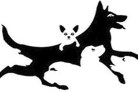 Wie viele Hunde sehen Sie? Die Antwort soll etwas über Ihr mentales Alter aussagen