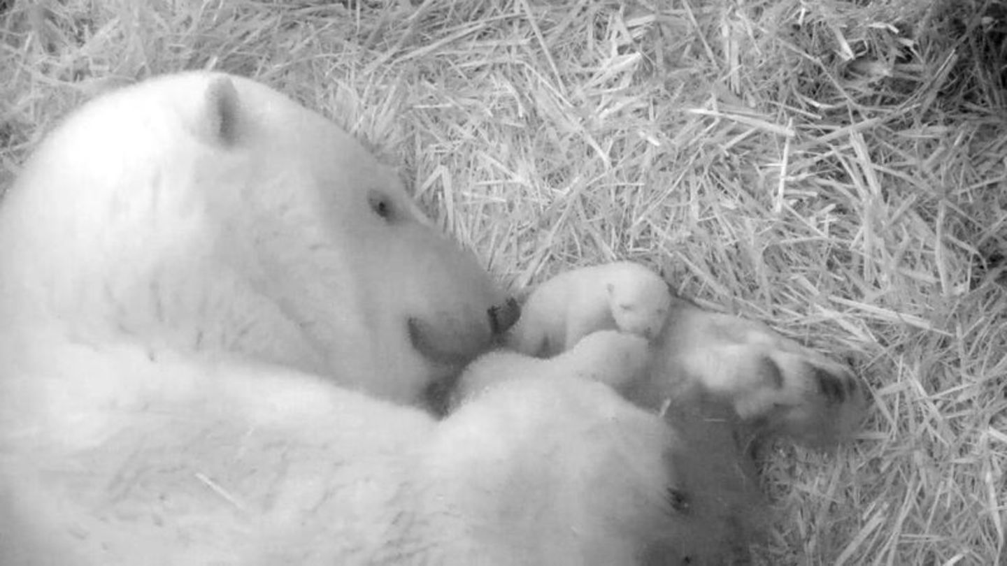 Zoo Rostock