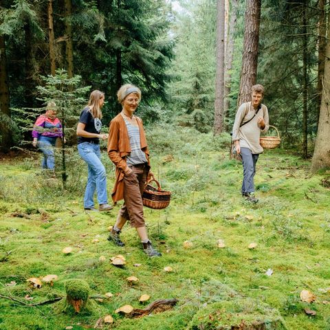Pilzwanderung