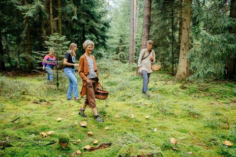 Pilzwanderung