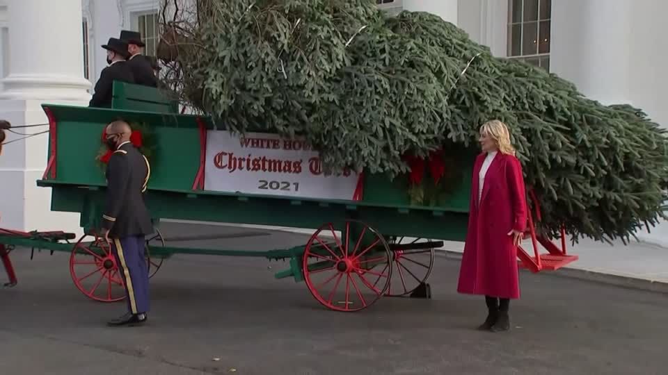 Video: Oh, Tannenbaum!