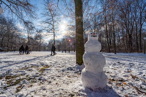 Wintereinbruch