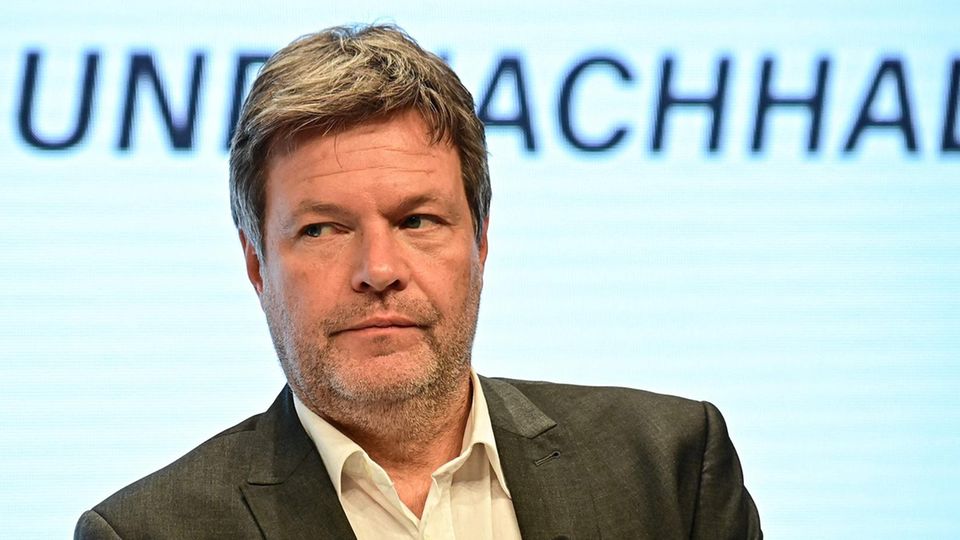 Grünen-Chef Robert Habeck ist Vizekanzler und übernimmt zudem die Betreuung des zentralen Themas der Grünen: Klimaschutz. Für die Leitung des Wirtschafts- und Klimaschutzministeriums kann der 52-Jährige auf Erfahrungen unter anderem aus sechs Jahren als schleswig-holsteinischer Minister für Energiewende, Umwelt, Landwirtschaft und Digitalisierung zurückgreifen.