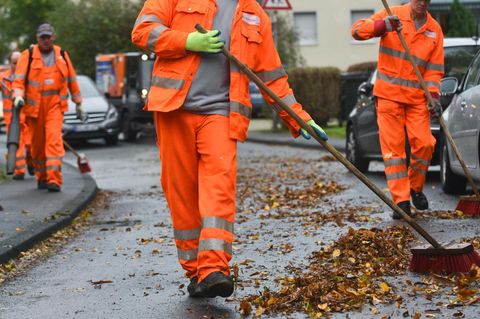 Pflichten als Mieter: Was Sie über das Laubfegen im Herbst wissen sollten