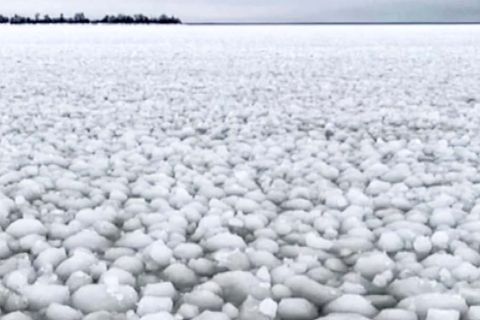 Kanada: Faszinierendes Naturschauspiel: Tausende Eiskugeln bedecken Manitobasee