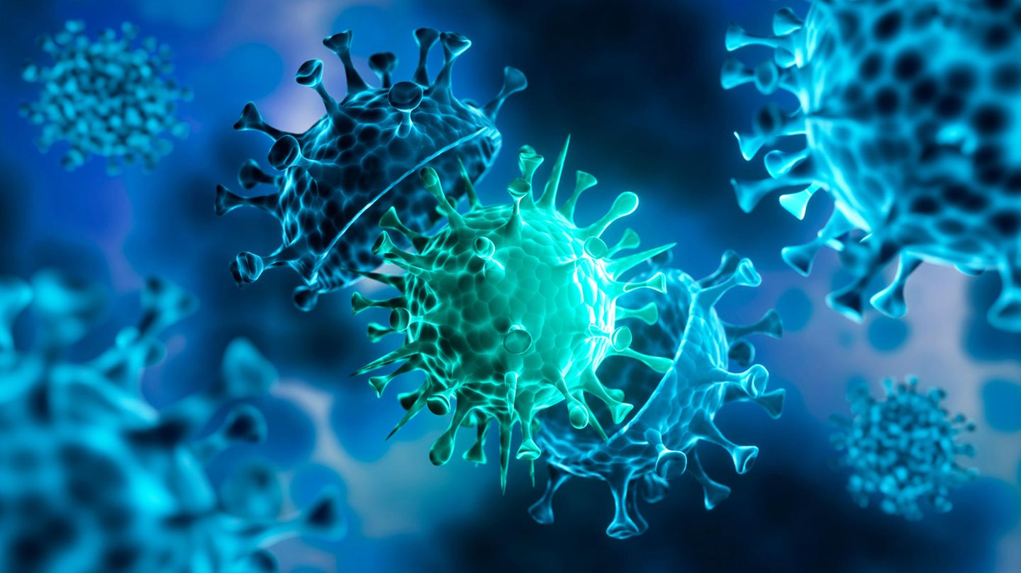 Das Coronavirus