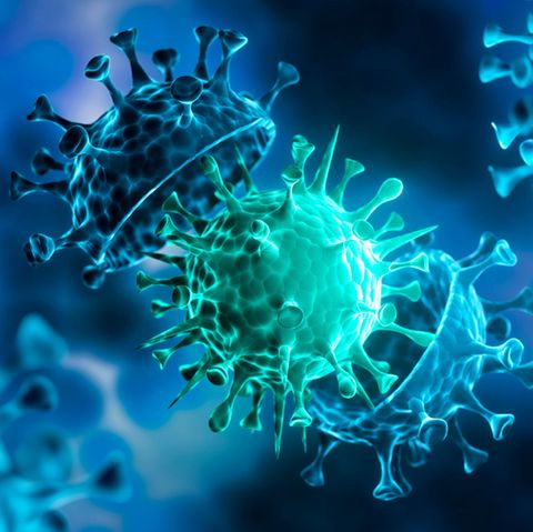 Das Coronavirus