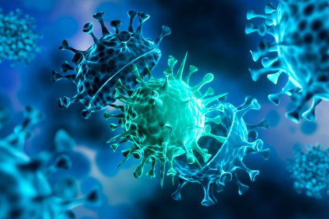 Das Coronavirus