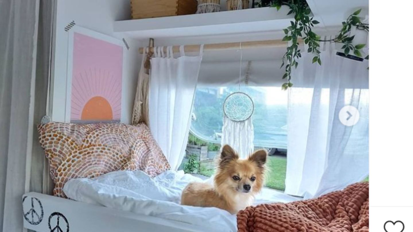 Alle fühlen sich wohl an Bord.