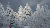ERster Schneeland - Wunderland