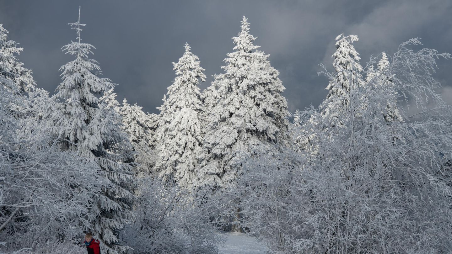 ERster Schneeland - Wunderland