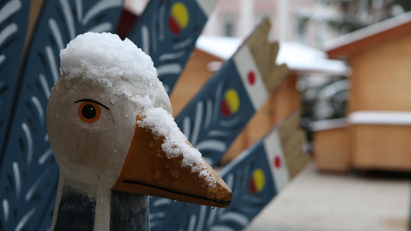 Erster Schnee - Holzpfau