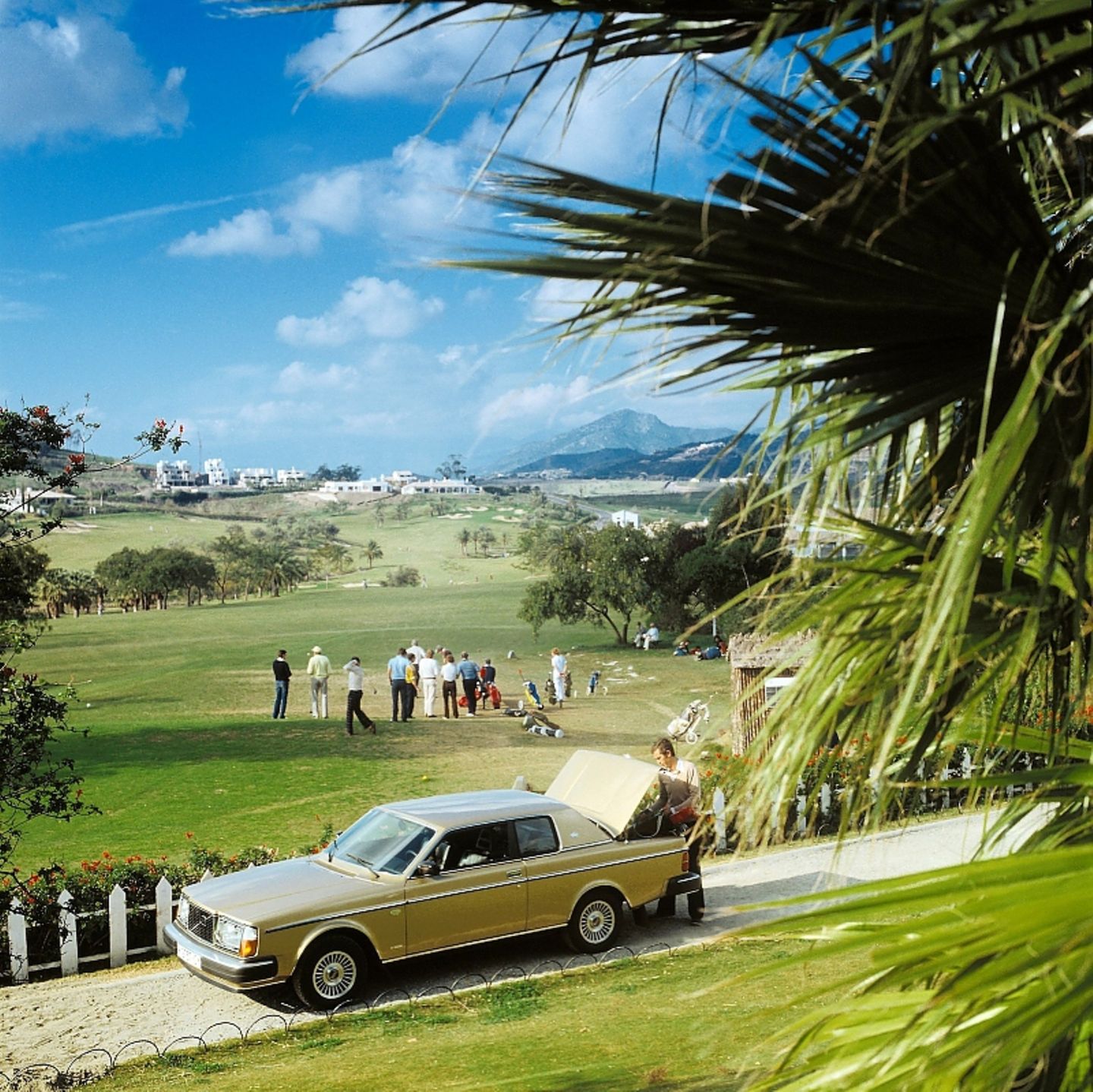 Volvo 262 C