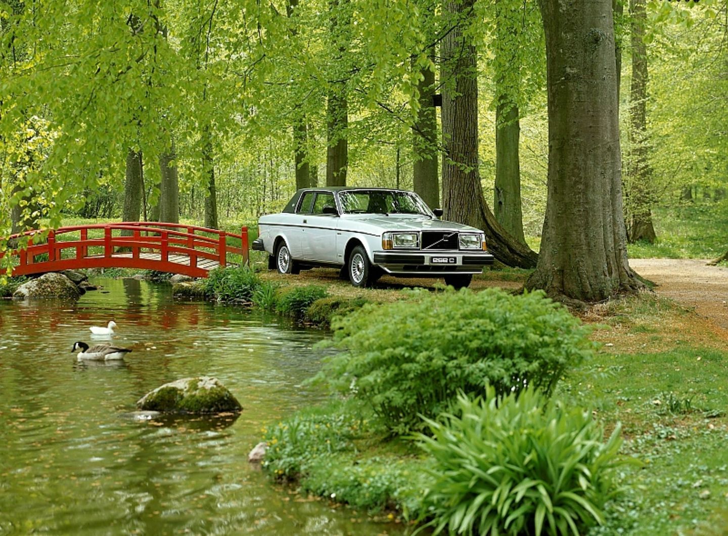 Volvo 262 C