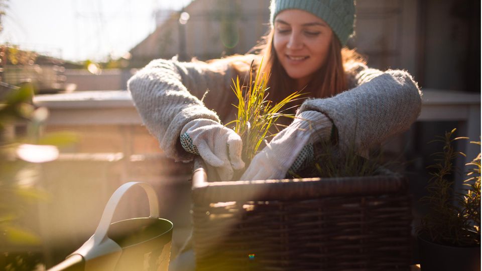 Garten und Balkon winterfest machen – diese Tipps müssen Sie beachten.