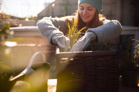 Garten und Balkon winterfest machen – diese Tipps müssen Sie beachten.