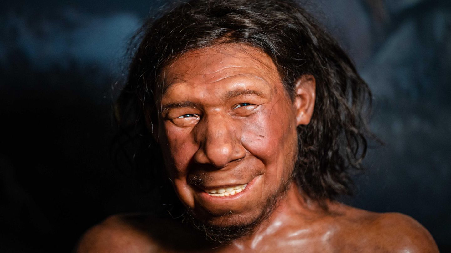Das rekonstruierte Gesicht eines Neandertalers