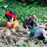 Wie viele Menschen sind in Deutschland ehrenamtlich tätig?  Fast 40 Prozent der Deutschen über 14 Jahre sind freiwillig engagiert, hat der Freiwilligensurvey 2019 in einer Umfrage ermittelt. Das Engagement stieg im Zusammenhang mit der Flüchtlingskrise 2014 und hat seither sein hohes Niveau beibehalten. Gut zwölf Prozent der Deutschen war zwischen 2014 und 2019 in der Flüchtlingshilfe ehrenamtlich tätig, mehr Frauen als Männer. Derzeit sind es je nach Bundesland zwischen sechs acht Prozent.