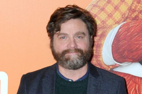 Schauspieler Zach Galifianakis