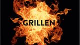 Kochbuch: Grillen. Die besten Rezepte und Grill-Techniken für Einsteiger und Experten  Autor: Michael Koch  Verlag: ZS - ein Verlag der Edel Verlagsgruppe  Gold in der Kategorie "Grillen"