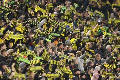 Fans von Borussia Dortmund im Signal Iduna Park (Archivfoto)