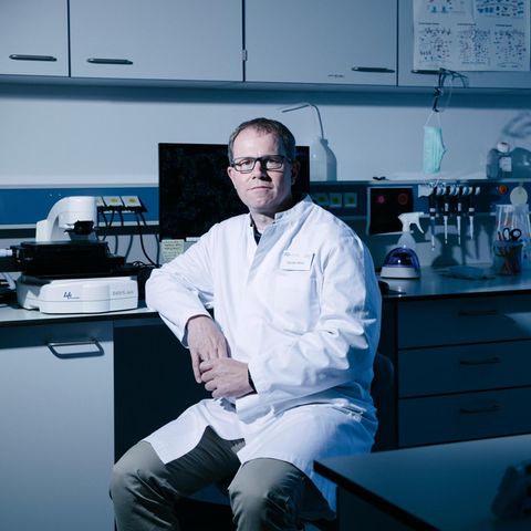 Leiter des Forschungsbereichs Immunologie Prof. Carsten Watzl