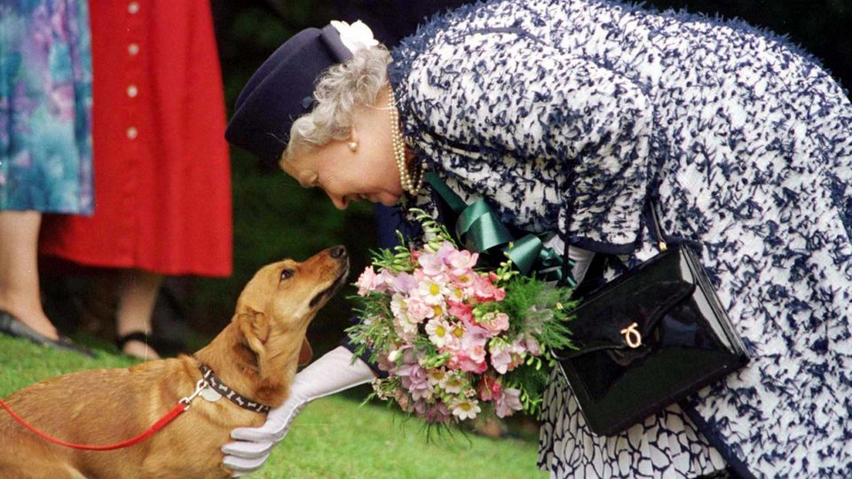 Die britische Königin Elizabeth II. streichelt einen ihrer Corgi-Hunde