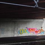 Bunt statt Grau  Sind heute längst sämtliche Wände an der Bahnlinie bunt bemalt, stachen die die grellen Farben der Graffiti in den Achzigerjahren vor den leeren, grauen Wänden noch besonders krass heraus. Kein Wunder, dass Werke wie dieses von Eric aus dem Jahr 1987 vielen Sprühern als Klassiker im Gedächtnis haften blieben