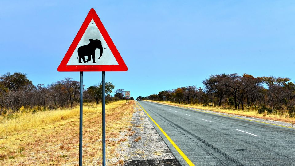 Road sign in Namibia