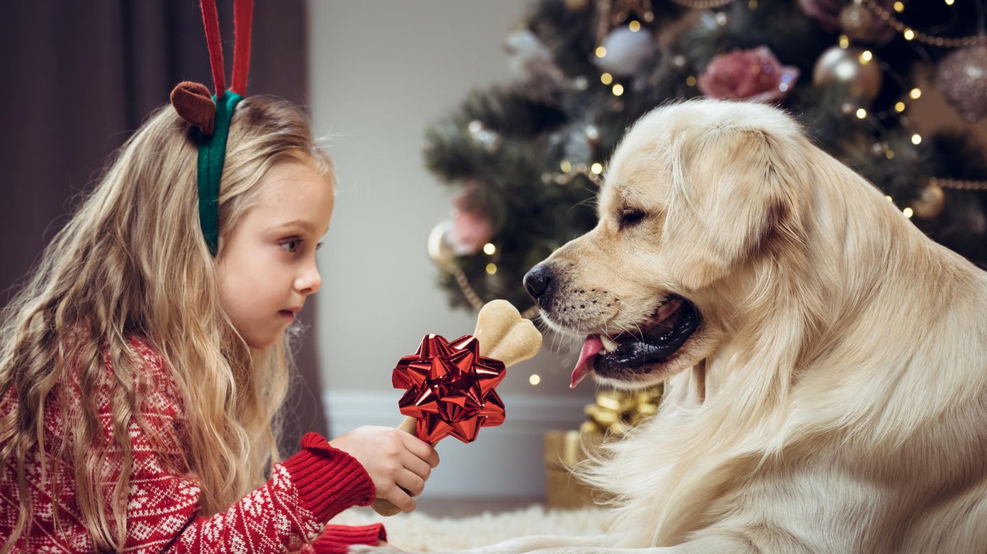 Ein Mädchen schenkt ihrem Hund einen Knochen