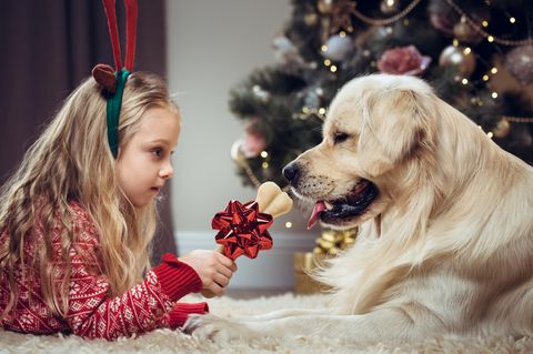 Ein Mädchen schenkt ihrem Hund einen Knochen