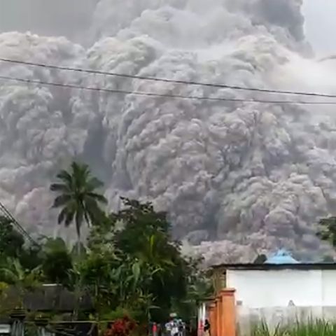 Schreiend laufen Menschen vor der gewaltigen Aschewolke davon, die der Vulkan Semeru ausspuckt