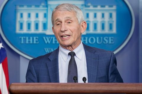 Anthony Fauci, Direktor des National Institute of Allergy and Infectious Diseases