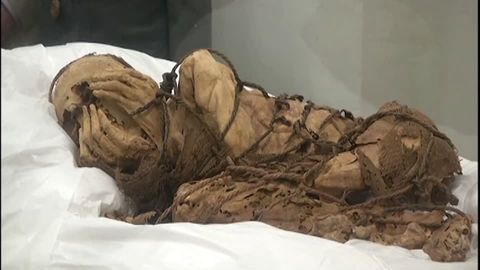 Archäologie: 800 Jahre alt und gefesselt: Forscher entdecken gut erhaltene Mumie in Peru