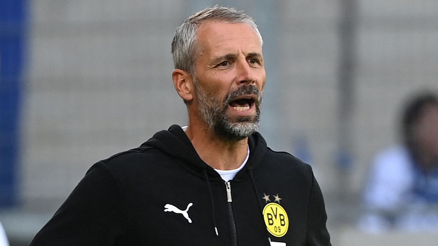 BVB is looking for a new defender: Niklas Stark and Nico Schlotterbeck in focus?