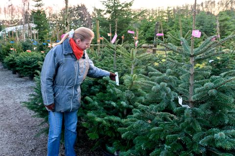 Weihnachtsbaum kaufen