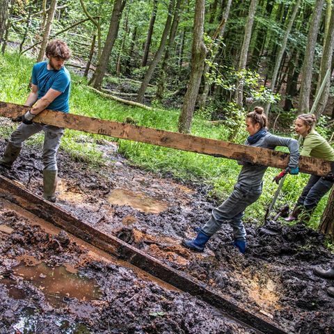Freiwillige des Bergwaldprojekts bauen aus Holz eine Wassersperre