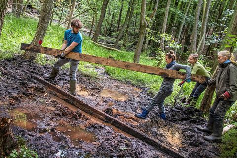 Freiwillige des Bergwaldprojekts bauen aus Holz eine Wassersperre