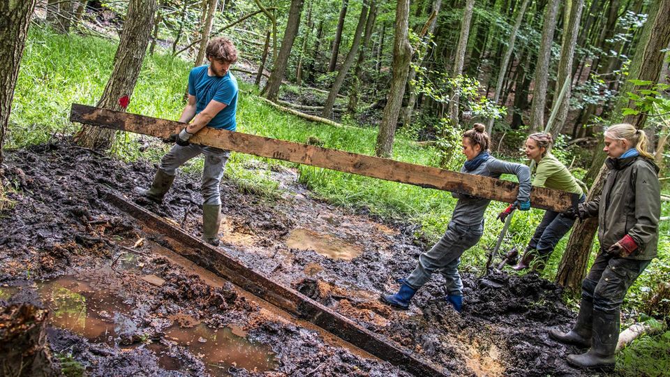 Freiwillige des Bergwaldprojekts bauen aus Holz eine Wassersperre