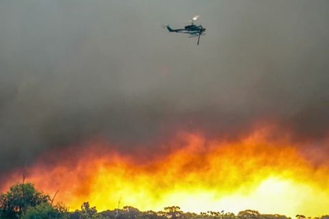 Video: Buschfeuer wütet in Western Australia