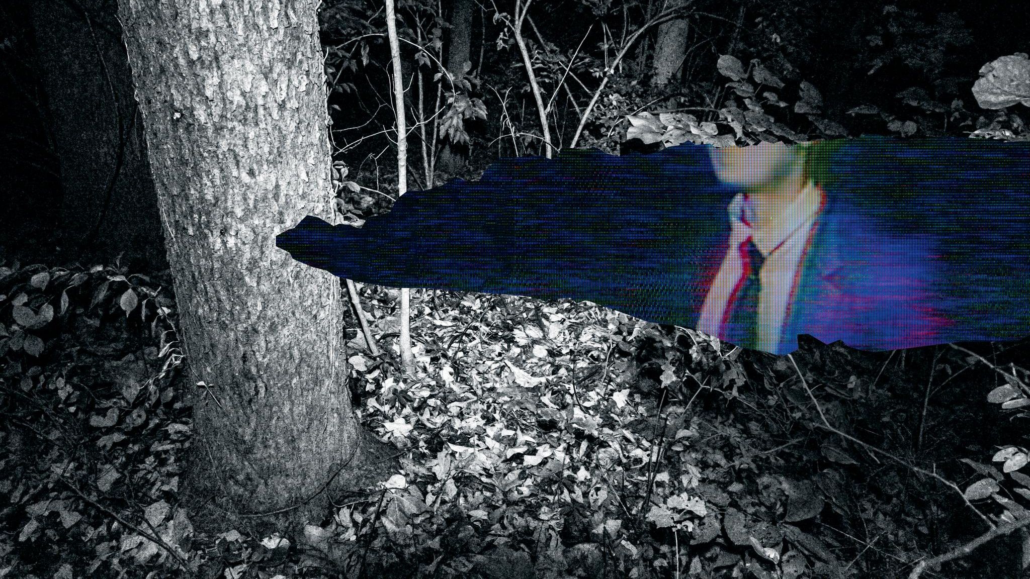 Der Wald hinter der Farm