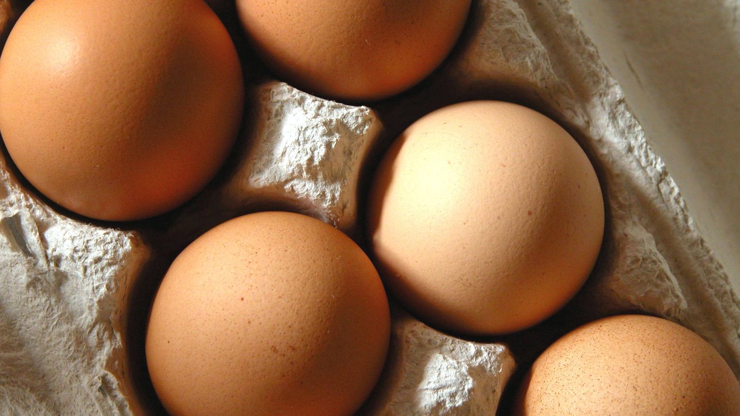 Eier in einem Eierkarton