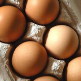 Eier in einem Eierkarton