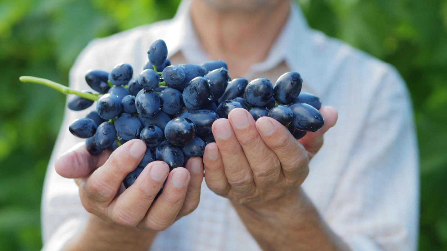 Kabinett Weinsprache: Kabinett