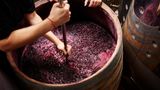 Weinsprache: Cuvée