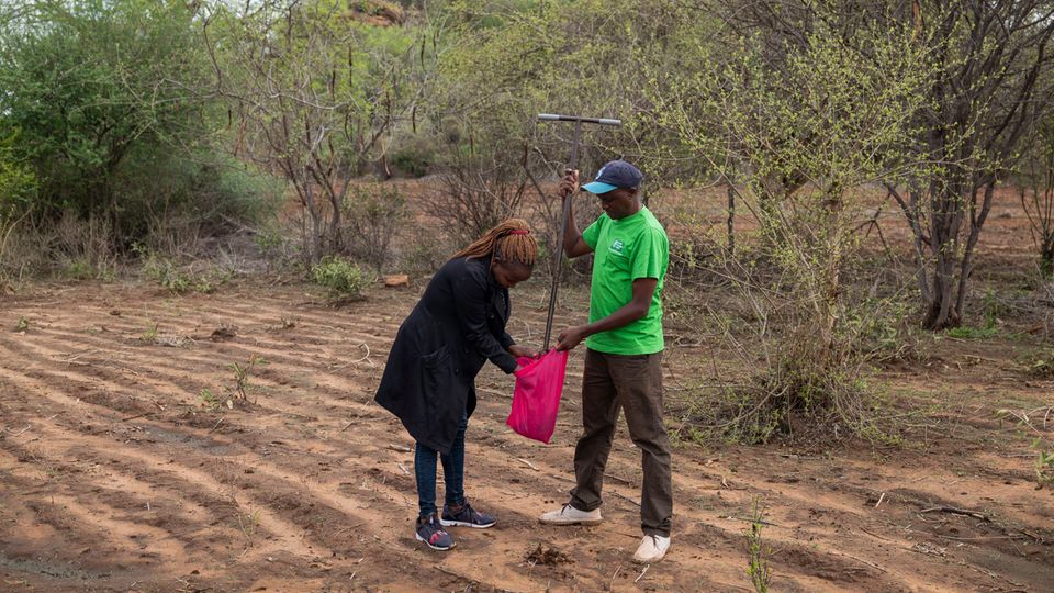 Projektdorf von stern und Welthungerhilfe: Ann Macharia vom Agrarforschungsinstitut Latia entnimmt Bodenproben auf einem Feld in Kinakoni, ein Mitarbeiter der Welthungerhilfe hilft ihr dabei. Mithilfe von Analysen sollen so die besten Anbauflächen im Dorf gefunden werden. Ann Macharia vom Agrarforschungsinstitut Latia entnimmt Bodenproben auf einem Feld in Kinakoni, ein Mitarbeiter der Welthungerhilfe hilft ihr dabei. Mithilfe von Analysen sollen so die besten Anbauflächen im Dorf gefunden werden.